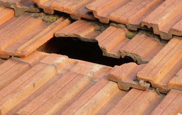 roof repair Thorndon Cross, Devon
